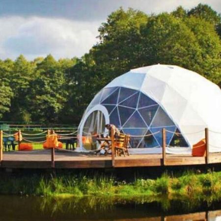 Forest Glamping Braşov Extérieur photo