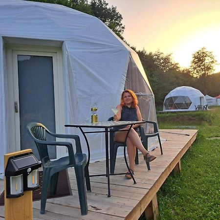 Forest Glamping Braşov Extérieur photo