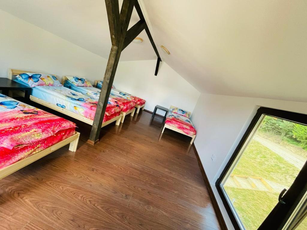 Forest Glamping Braşov Extérieur photo
