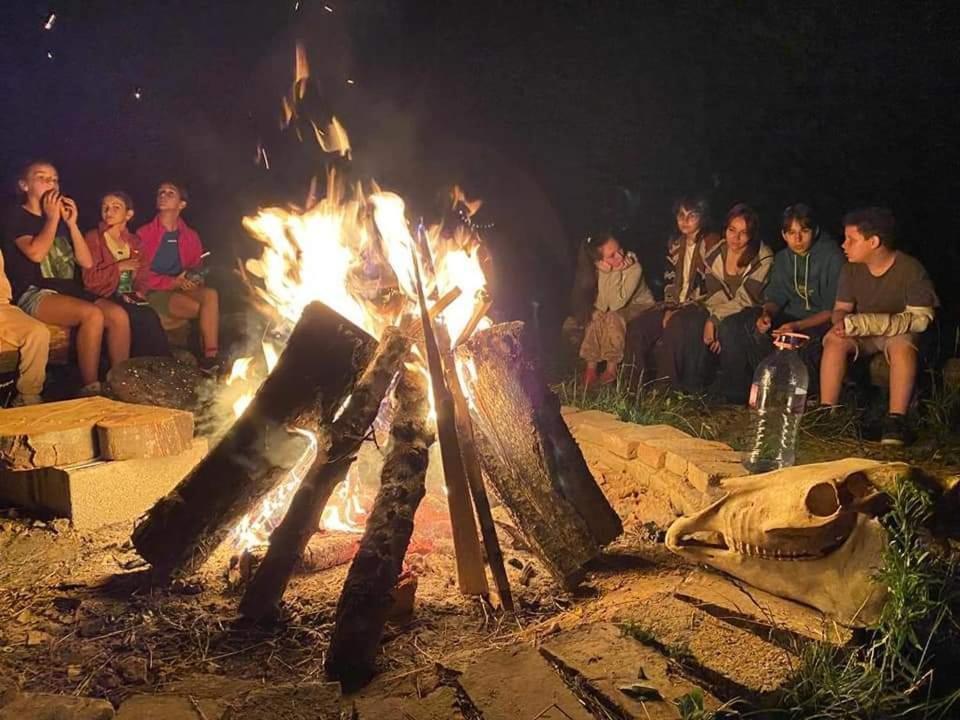 Forest Glamping Braşov Extérieur photo
