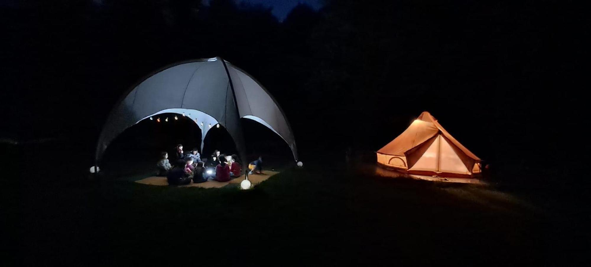 Forest Glamping Braşov Extérieur photo