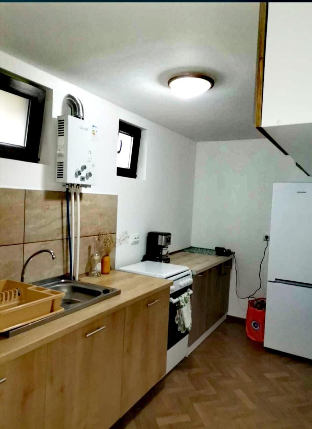 Forest Glamping Braşov Extérieur photo