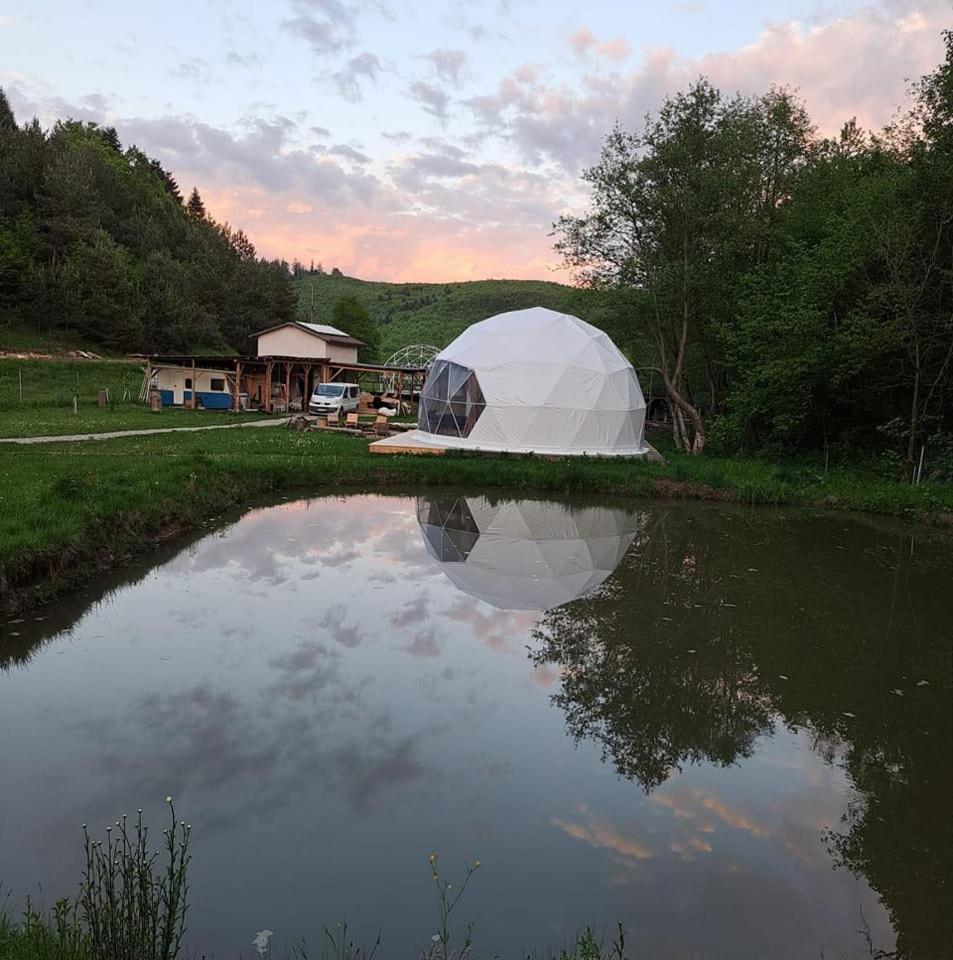 Forest Glamping Braşov Extérieur photo