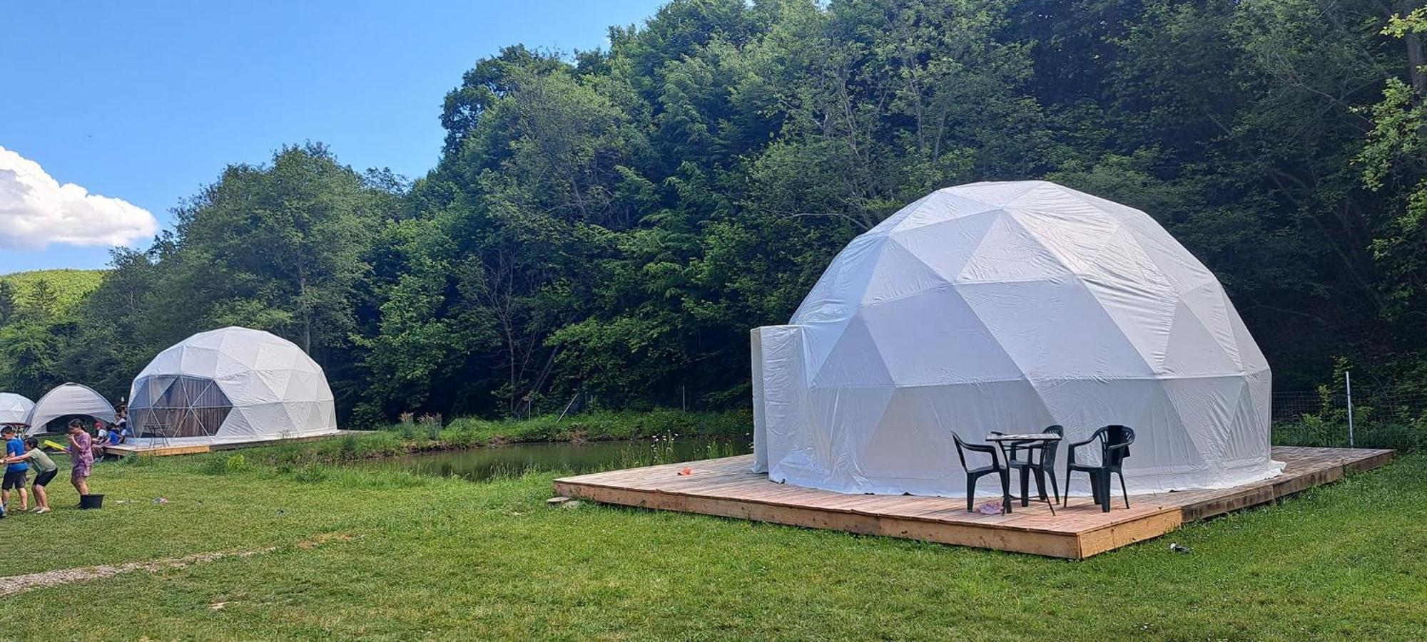 Forest Glamping Braşov Extérieur photo
