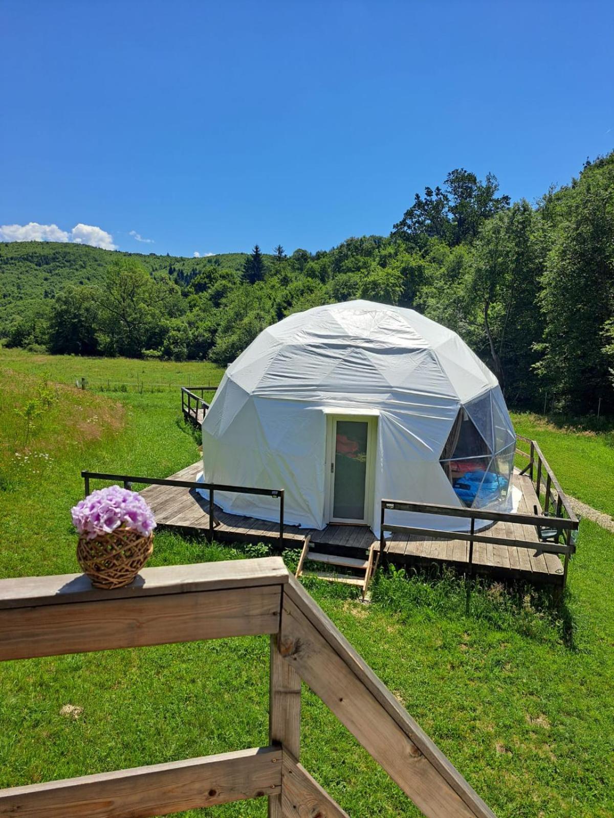 Forest Glamping Braşov Extérieur photo