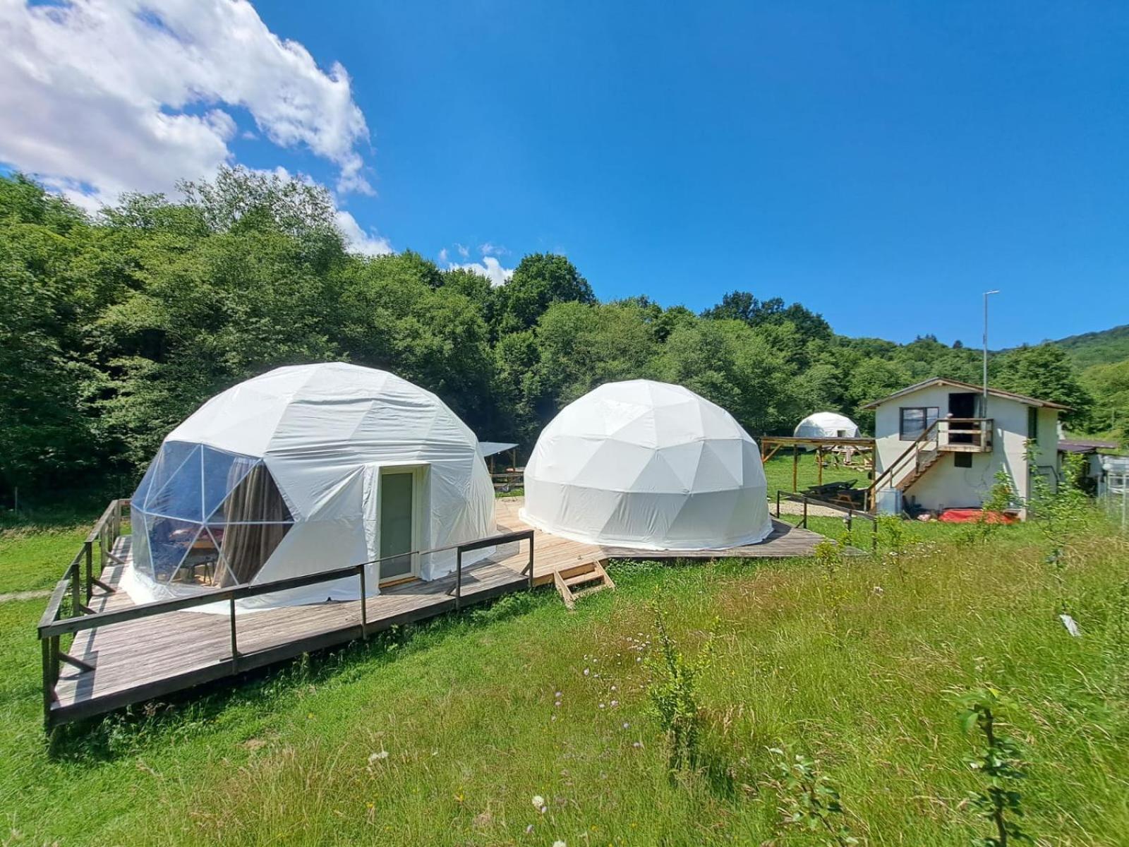 Forest Glamping Braşov Extérieur photo