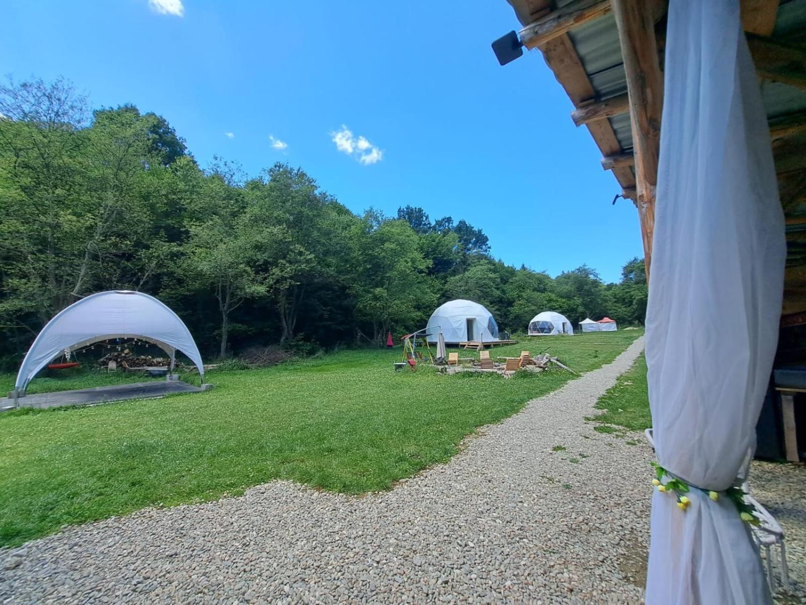 Forest Glamping Braşov Extérieur photo