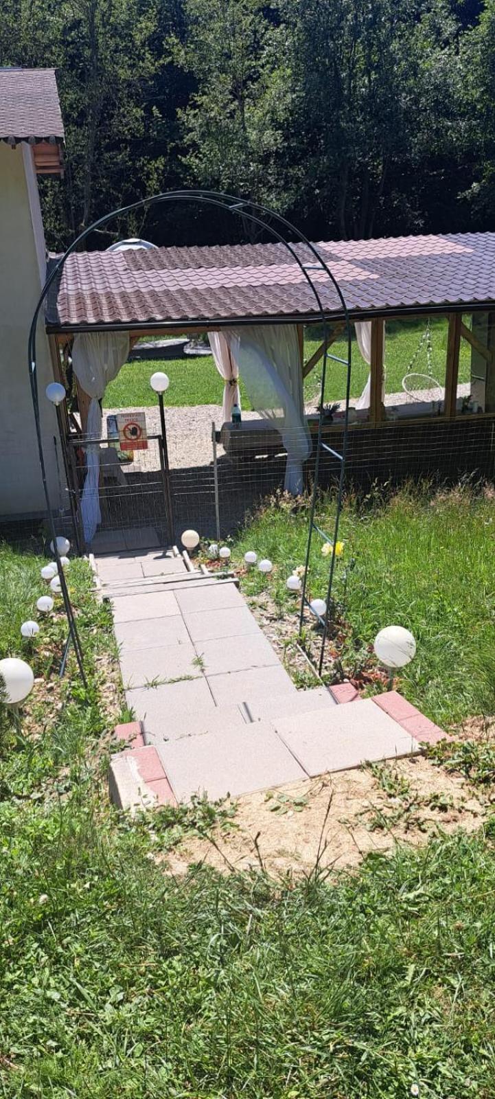 Forest Glamping Braşov Extérieur photo