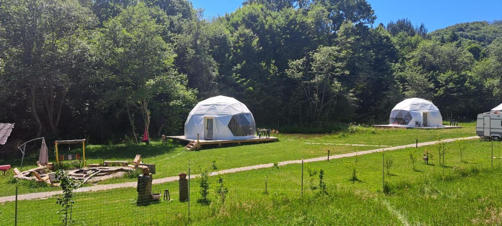 Forest Glamping Braşov Extérieur photo