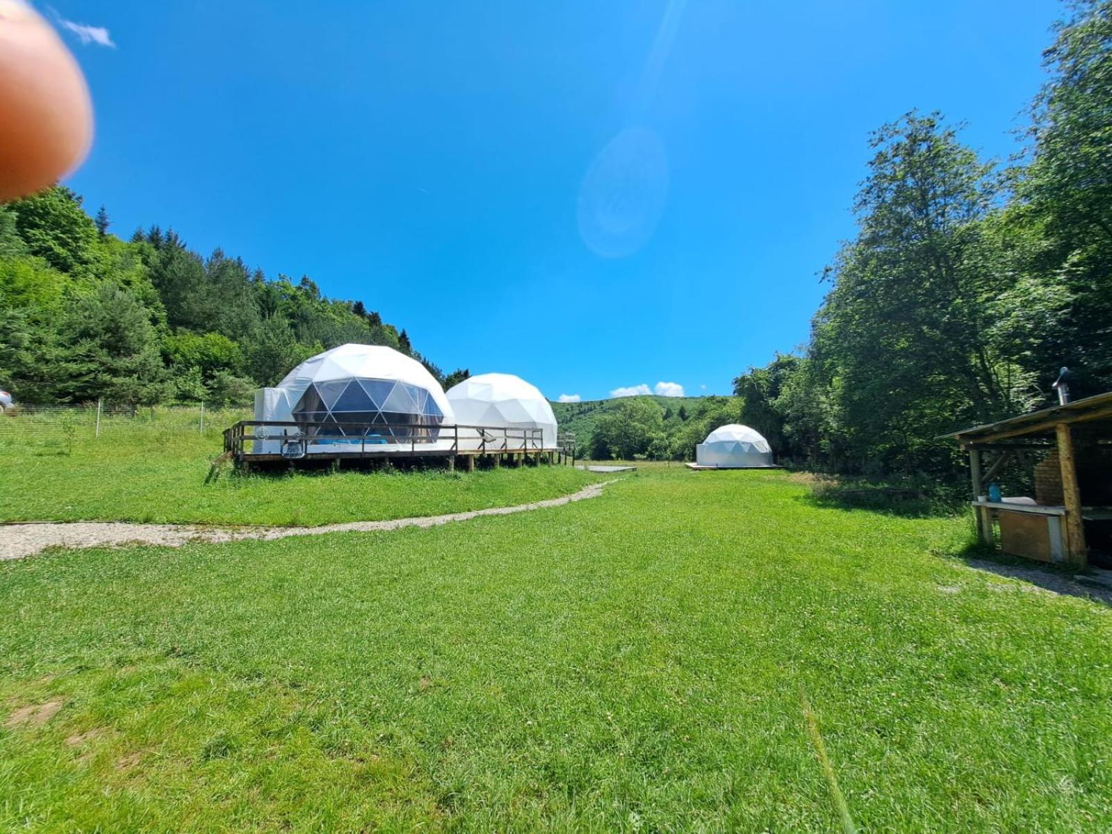Forest Glamping Braşov Extérieur photo