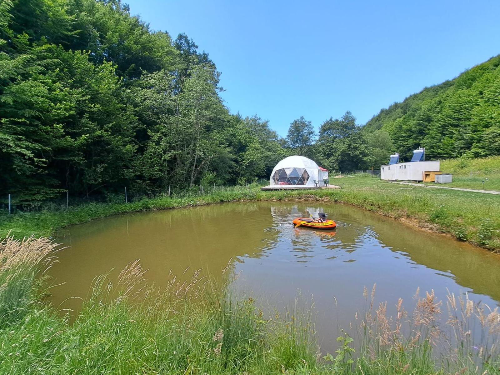 Forest Glamping Braşov Extérieur photo