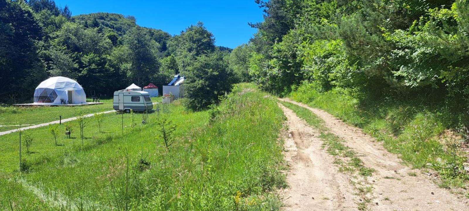 Forest Glamping Braşov Extérieur photo