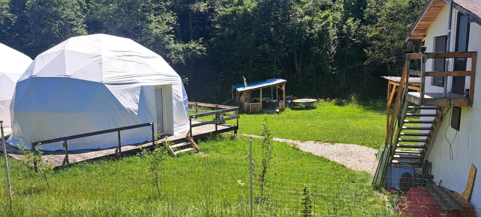 Forest Glamping Braşov Extérieur photo