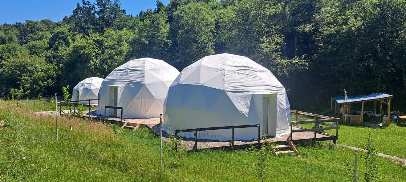Forest Glamping Braşov Extérieur photo