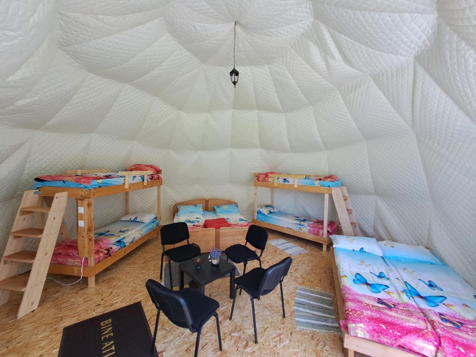 Forest Glamping Braşov Extérieur photo