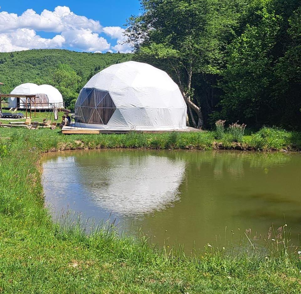 Forest Glamping Braşov Extérieur photo