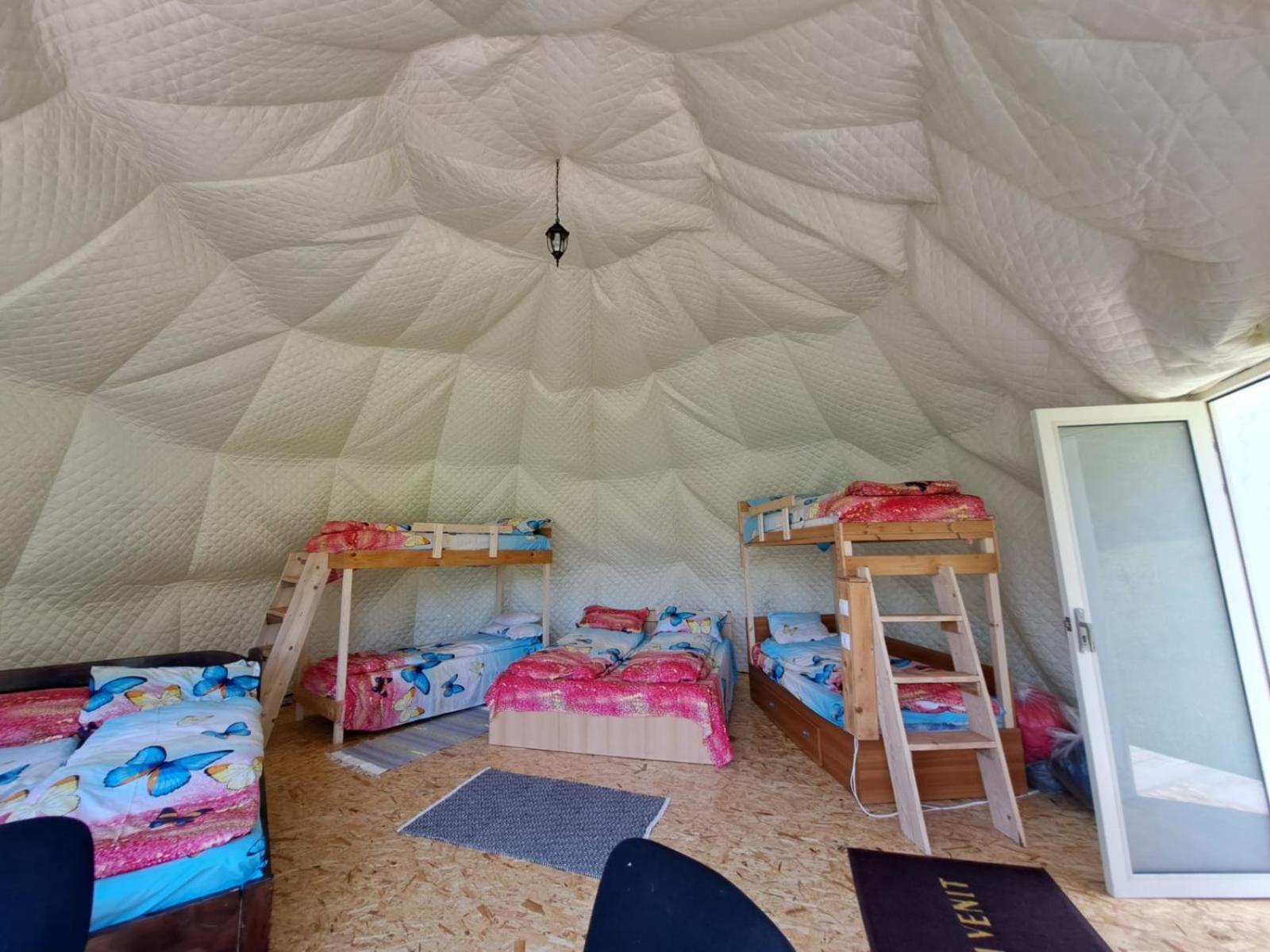 Forest Glamping Braşov Extérieur photo