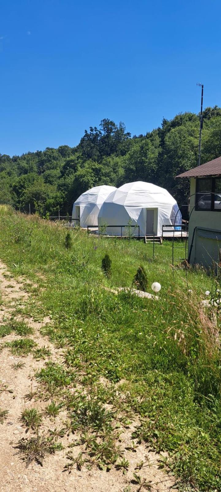 Forest Glamping Braşov Extérieur photo