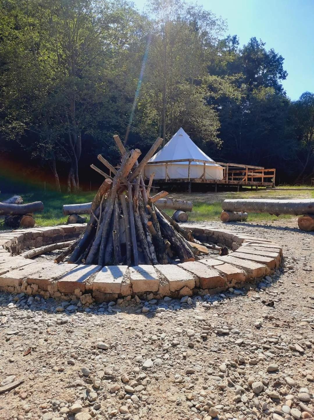 Forest Glamping Braşov Extérieur photo