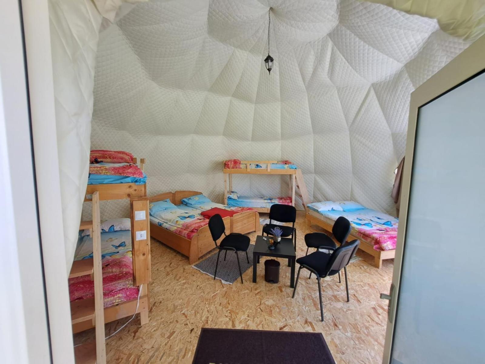 Forest Glamping Braşov Extérieur photo