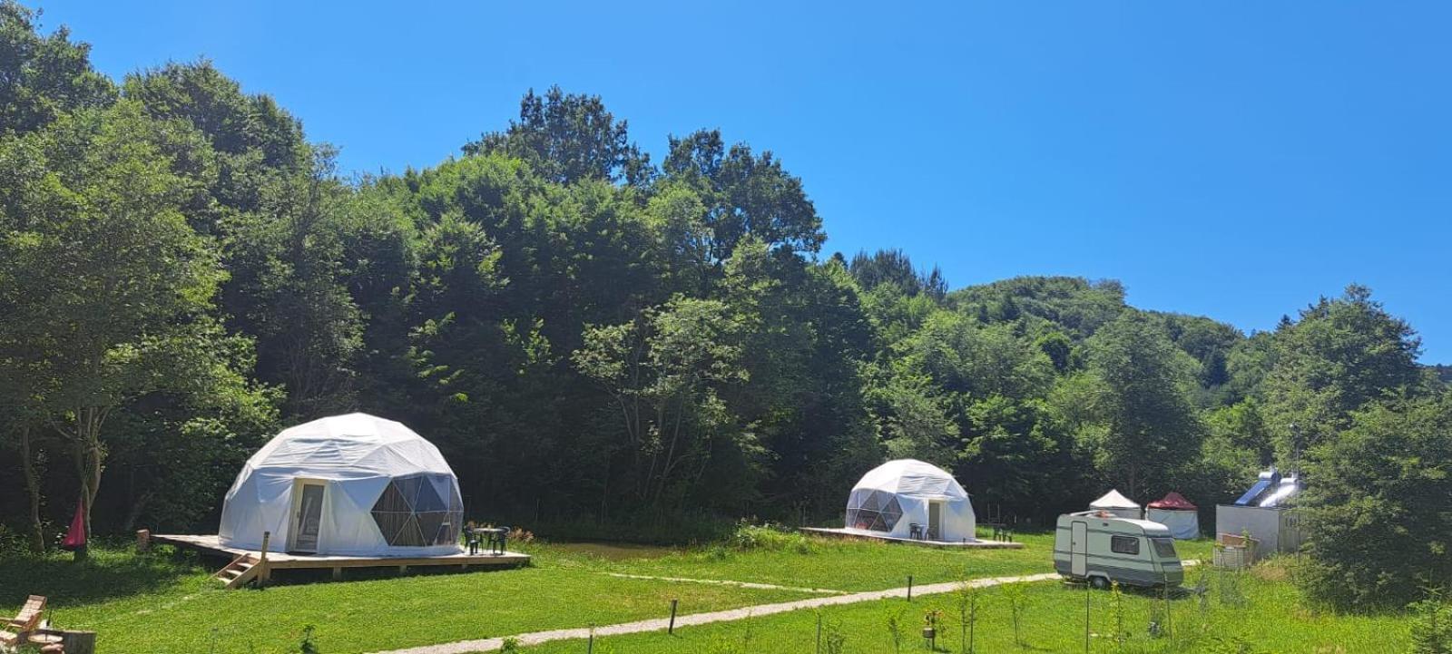 Forest Glamping Braşov Extérieur photo