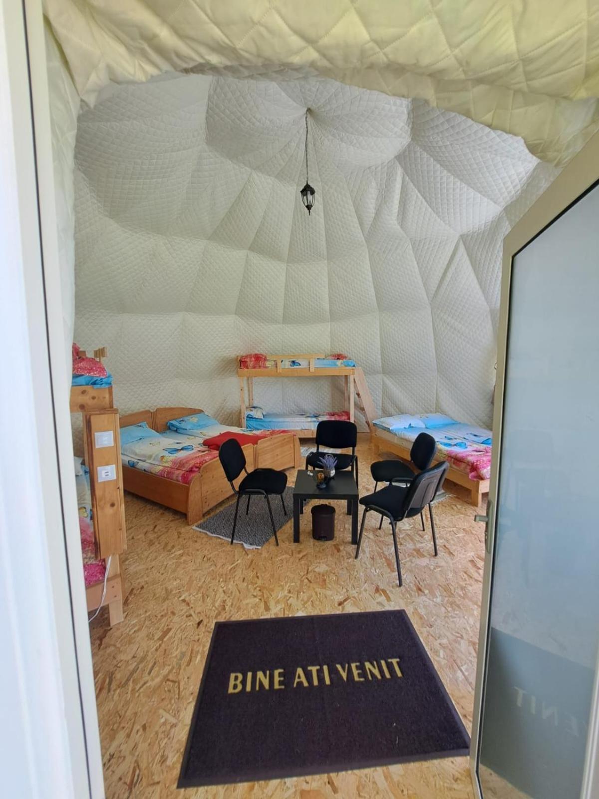 Forest Glamping Braşov Extérieur photo