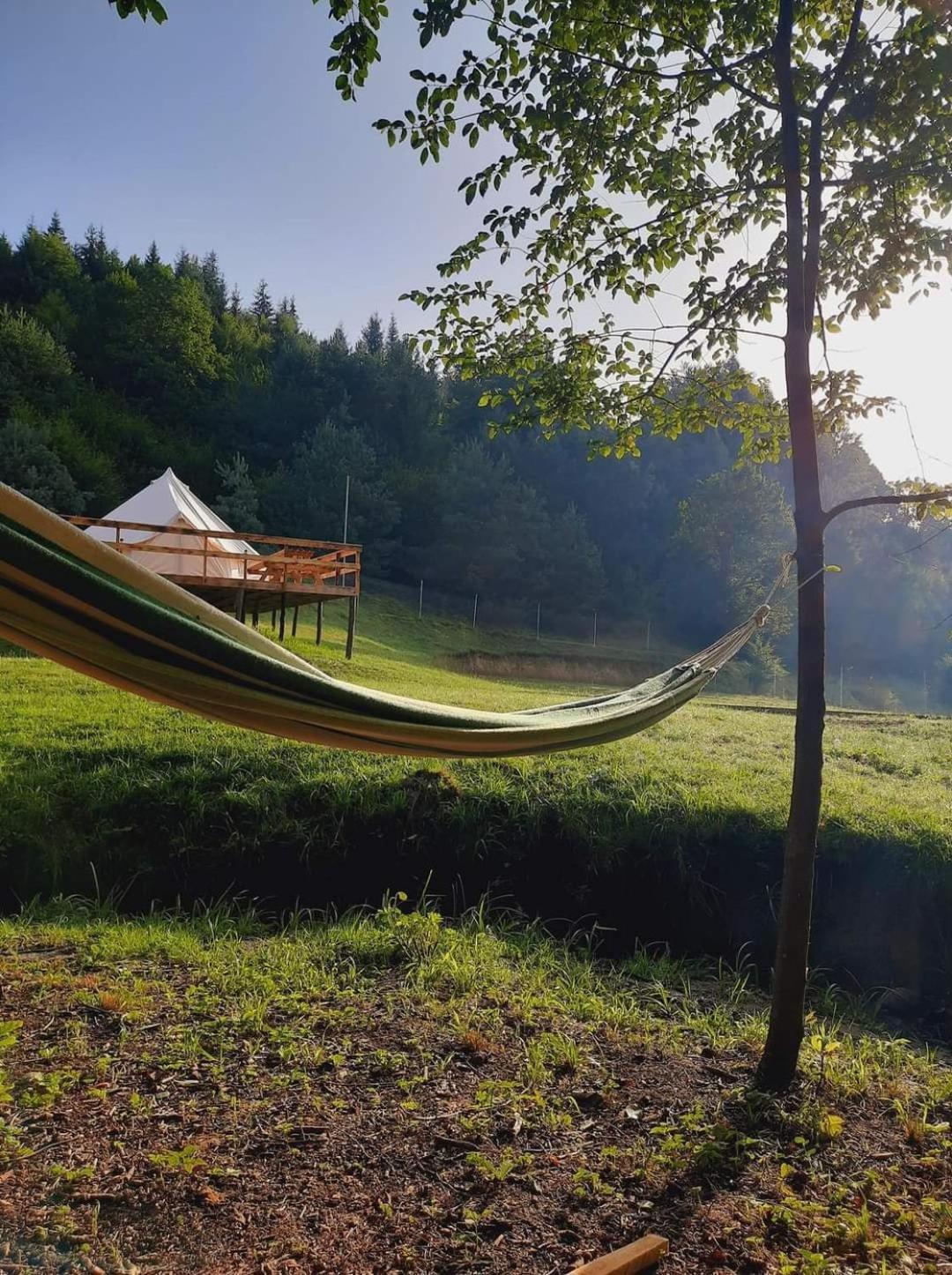 Forest Glamping Braşov Extérieur photo