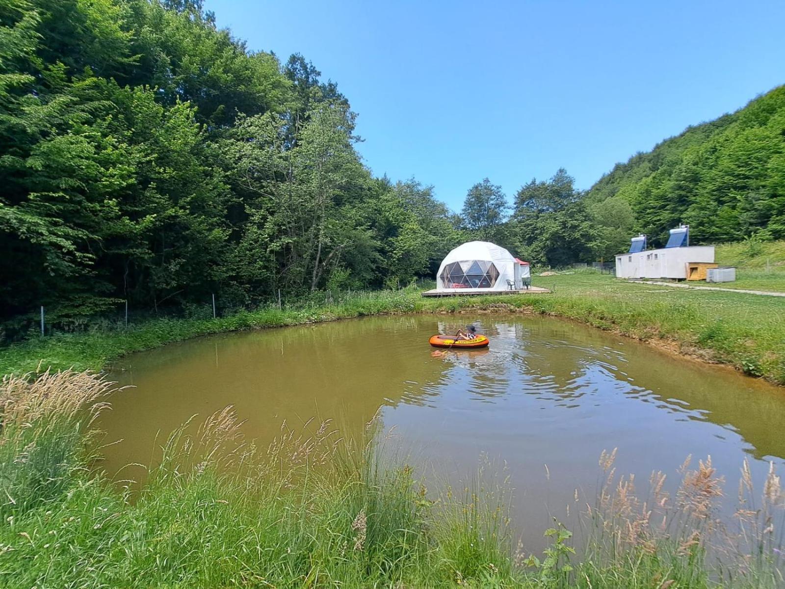 Forest Glamping Braşov Extérieur photo