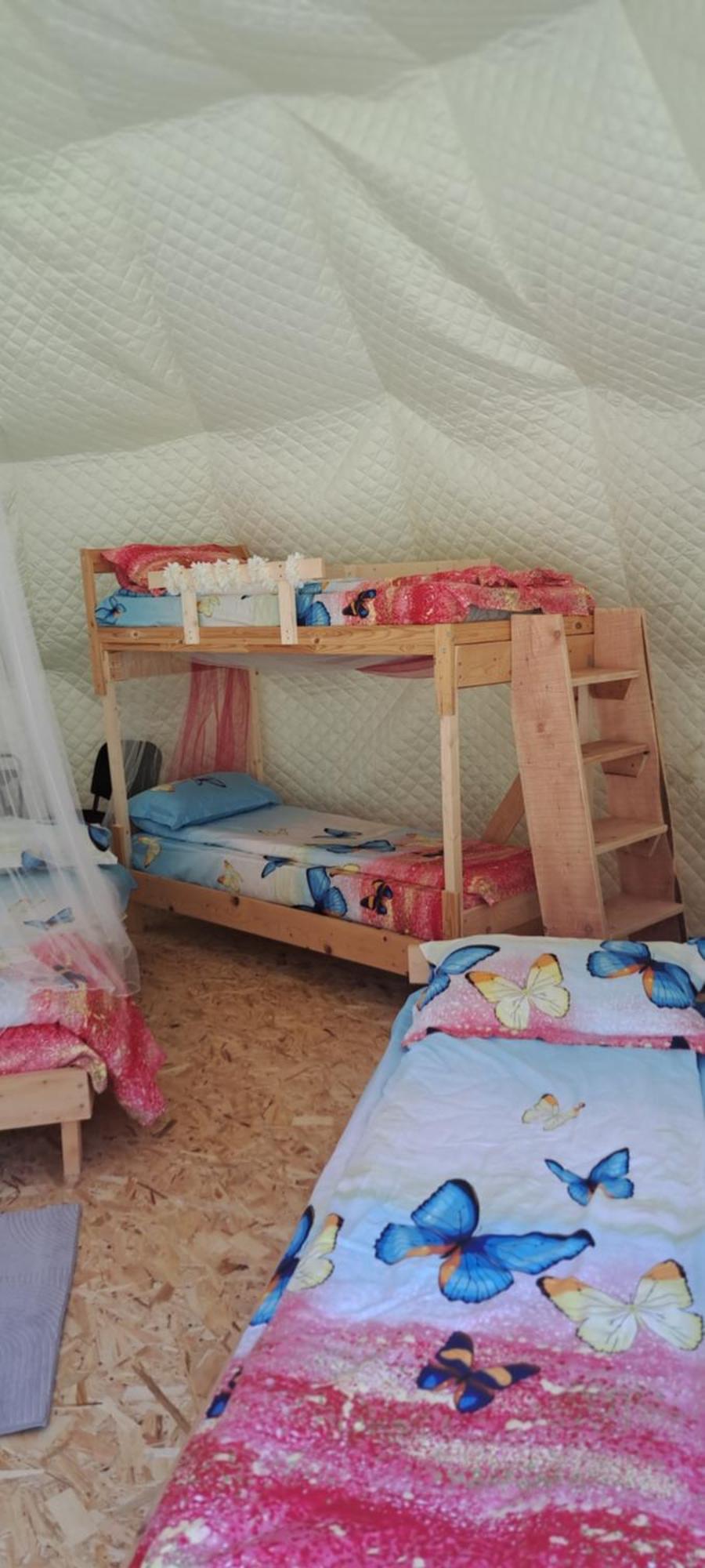 Forest Glamping Braşov Extérieur photo