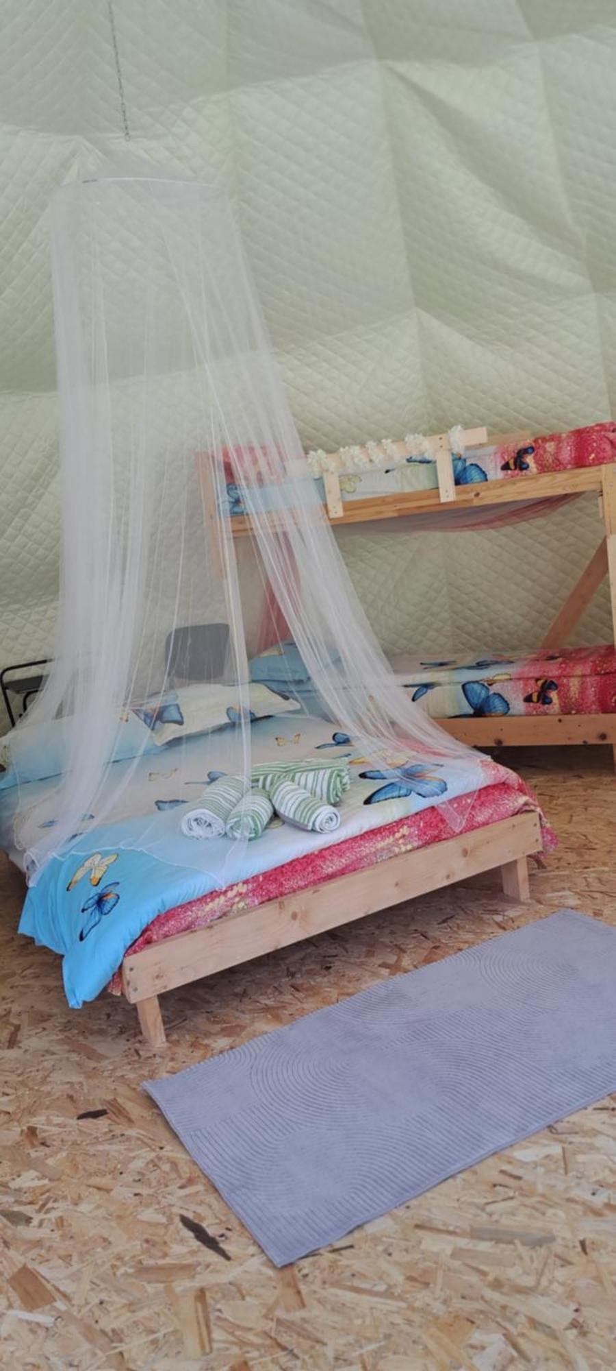 Forest Glamping Braşov Extérieur photo