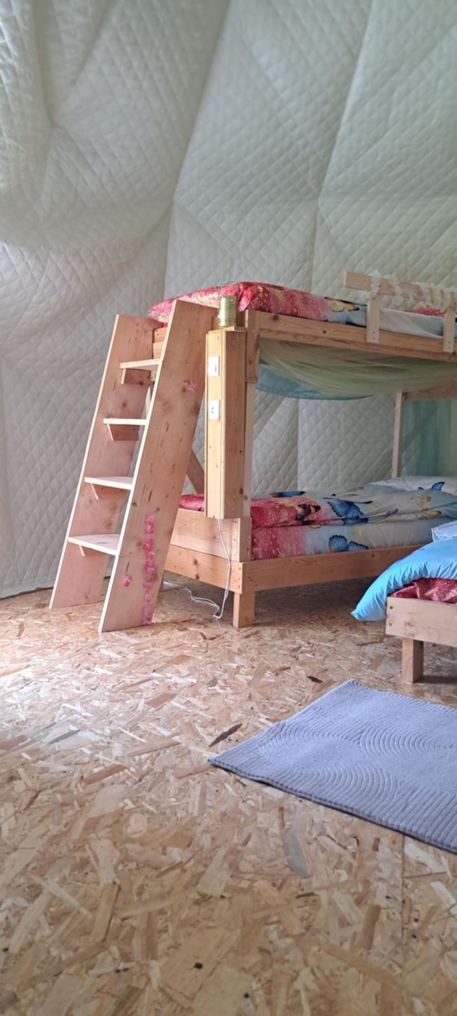 Forest Glamping Braşov Extérieur photo