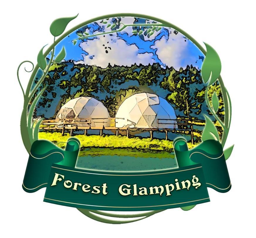 Forest Glamping Braşov Extérieur photo