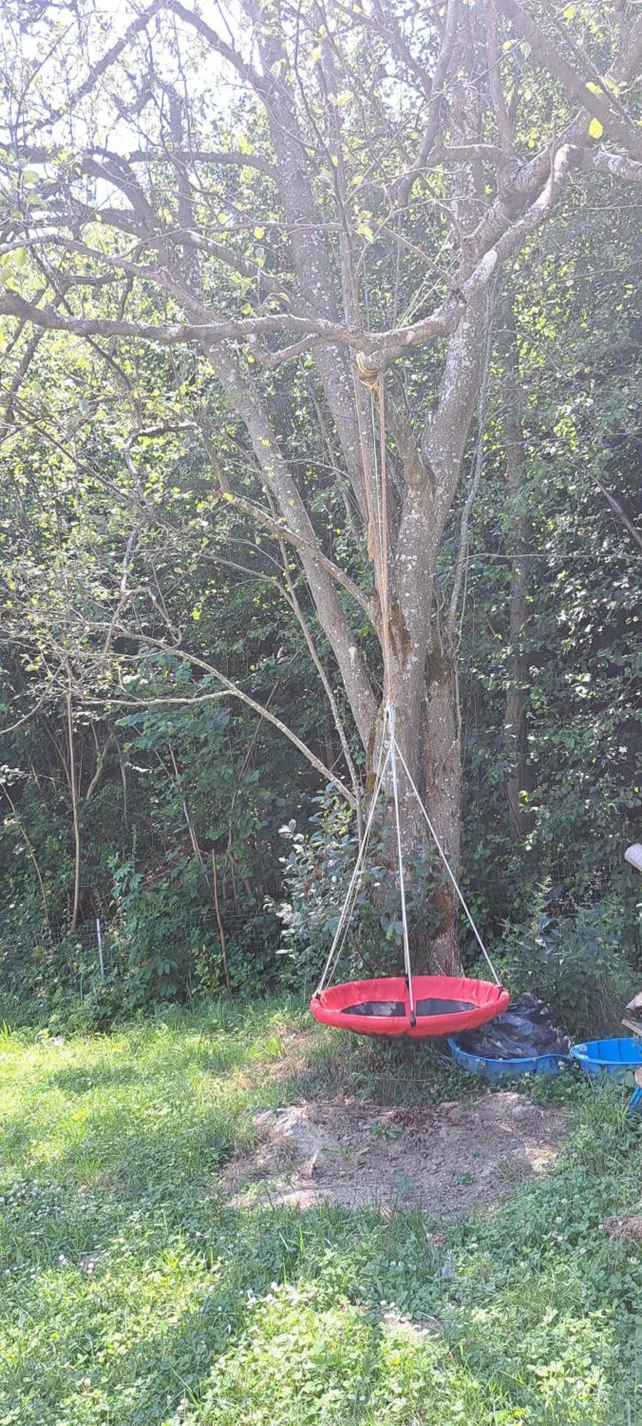 Forest Glamping Braşov Extérieur photo