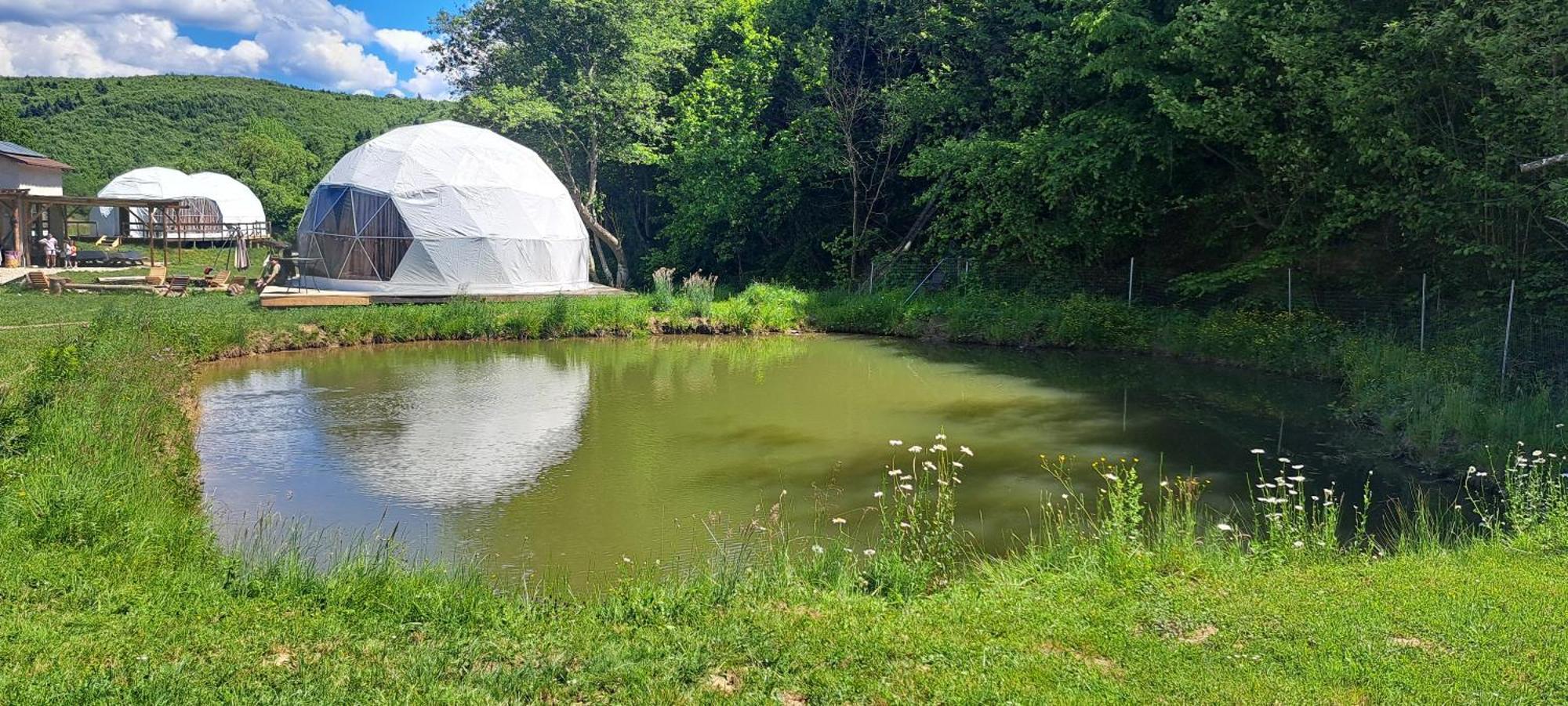 Forest Glamping Braşov Extérieur photo