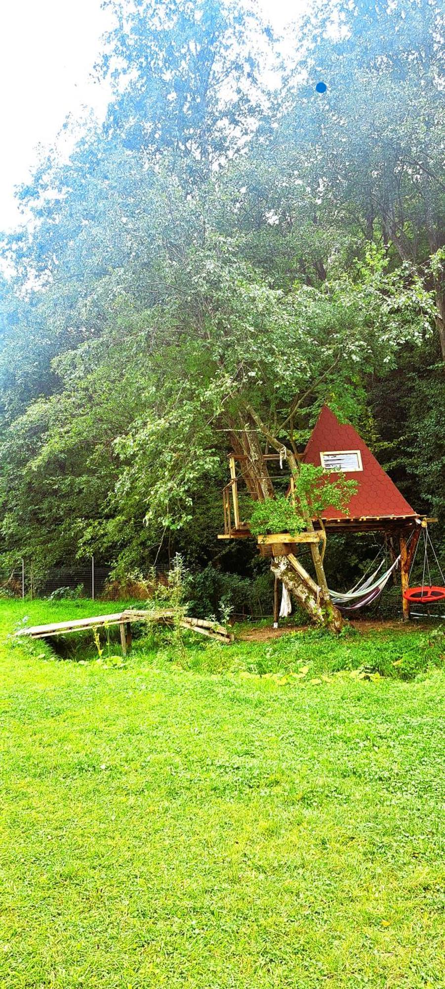 Forest Glamping Braşov Extérieur photo
