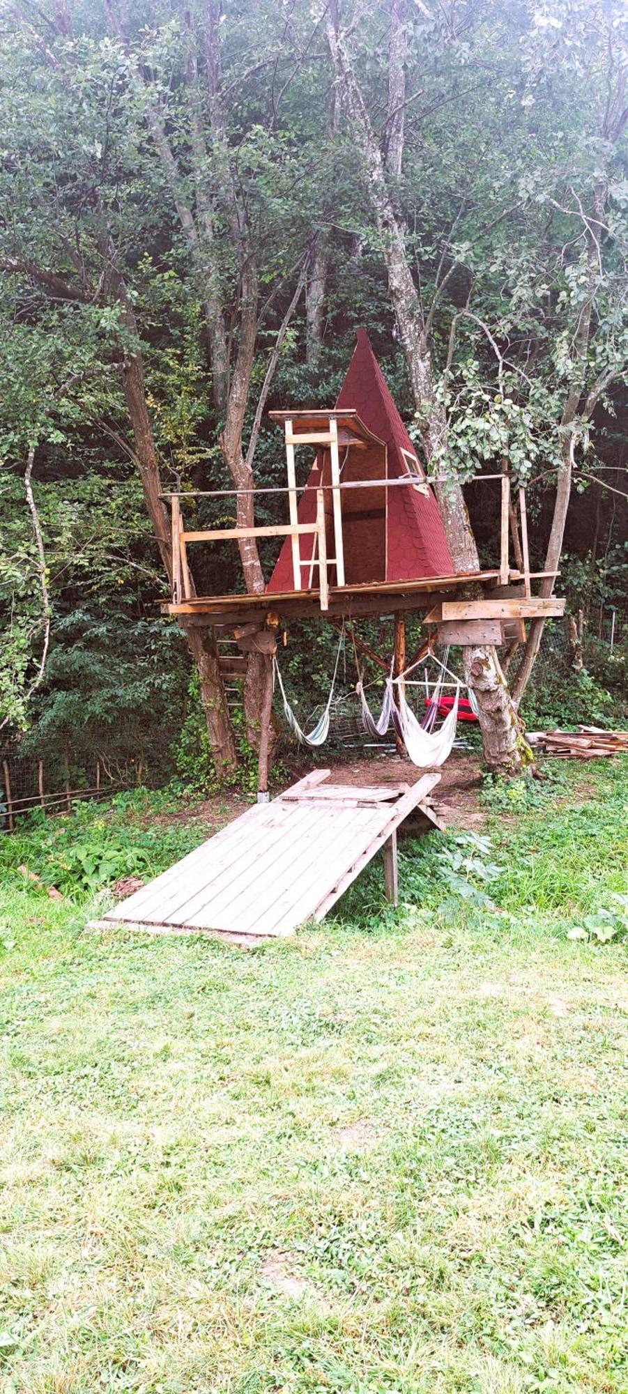 Forest Glamping Braşov Extérieur photo